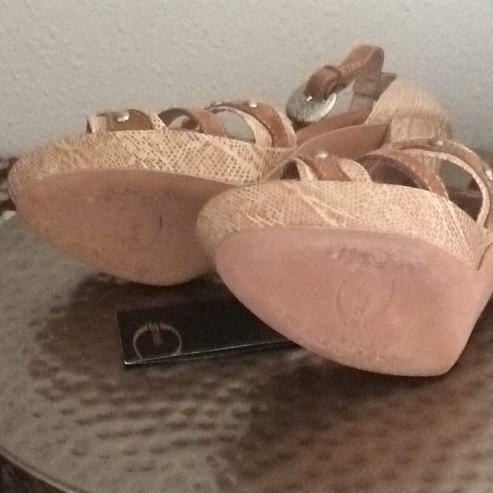 Roberto Cavalli Couture Platforms - Picture 6 of 8